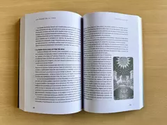 Astrohología Volumen tres. El viaje del alma a través de los vínculos - Libro - comprar online
