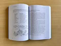 Astrohología Volumen tres. El viaje del alma a través de los vínculos - Libro en internet