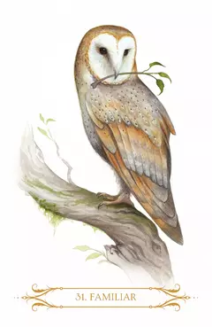 A compendium of witches oracle - tienda online