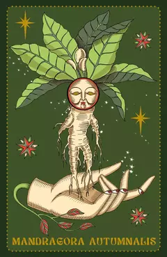 Imagen de Herbarium - Oraculo