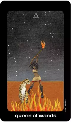 Imagen de Sun and Moon Tarot in a Tin - en Lata