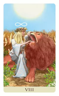 Mini Viceversa - Tarot en internet