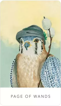 White Sage Tarot - En Lata - Witchie Vibes