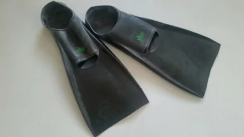 Pata de Rana de Caucho