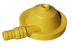 Sapito de Riego