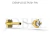Imagem do Piercing Mini Heart Ouro Europeu 10k