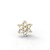 Piercing Microdermal Flor 5mm