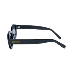 Lentes de Sol Alcyon Negro Modernos Polarizados - UV400 Unisex - tienda en línea