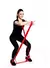 Kit Kinesiologia N2 Mancuernas 1kgPvc+Superband Eco Baja+Tiraband 1.50Media+Bosu Liso+Bosu Pinches+Esfero 21Cm+Colchoneta+Esfero 65Cm+Tobillera 1kg - comprar online