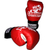 Guantes De Boxeo CLASSIC - Lobizon - tienda online