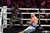 Guantes De Boxeo Proyec Forza - comprar online