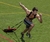 Trineo Carro De Fuerza De Entrenamiento Con Cinto - comprar online