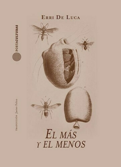 EL MÁS Y EL MENOS | ERRI DE LUCA