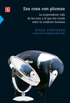 ESA COSA CON PLUMAS | NOAH STRYCKER
