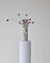 vaso 6 / yutori