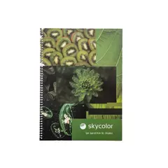 Cuaderno Universitario Skycolor 22x29,7 x 57gs - 80 hojas - comprar online