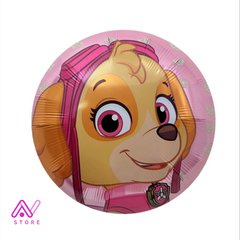 Skye Paw Patrol