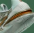 Devin Booker x Air Zoom GT Cut 2 EP 'Hike' - Dunk - Especialista em Sneakers, NBA, Jerseys, Futebol e Mais.