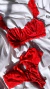 SET AMAPOLA RED //