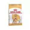 Royal Canin Caniche Poodle Adulto 1 Kg