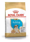 Royal Canin Bulldog Ingles Puppy 3 Kg