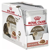 Pouch Royal Canin Gato Ageing +12 Caja (12x85kg) 1.02kg