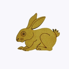 CONEJO - 627