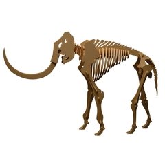 MAMMOTH - 915