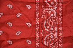 Bandana vermelha na internet