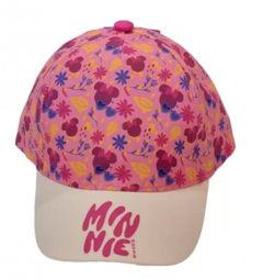 GORRA MINNIE MOUSSE DMI6240/DTS5794 - comprar online