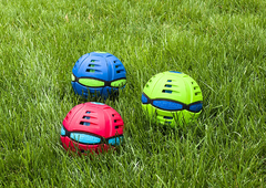 WAHU - PHLAT BALL - CAFFARO - Juguetería Aladino