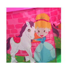CARPA CON TUNEL PONY en internet