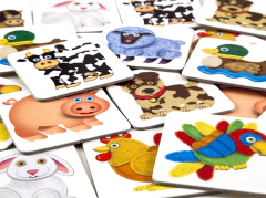 MEMOTEST DE LA GRANJA en internet