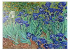 LIRIOS VINCENT VAN GOGH PUZZLE 1000 PIEZAS - comprar online