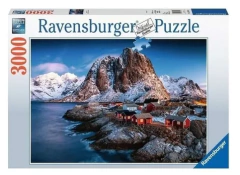 PUZZLE RAVENSBURGER 3000 PIEZAS en internet