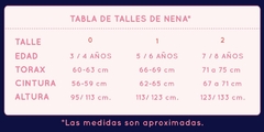 ELSA FROZEN 2 DISFRAZ ECONOMICO TALLE 2 en internet