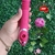 Vibrador de Ponto G com vai e vem na internet