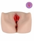 Masturbador Vagina e Ânus (SEM VIBRO) na internet