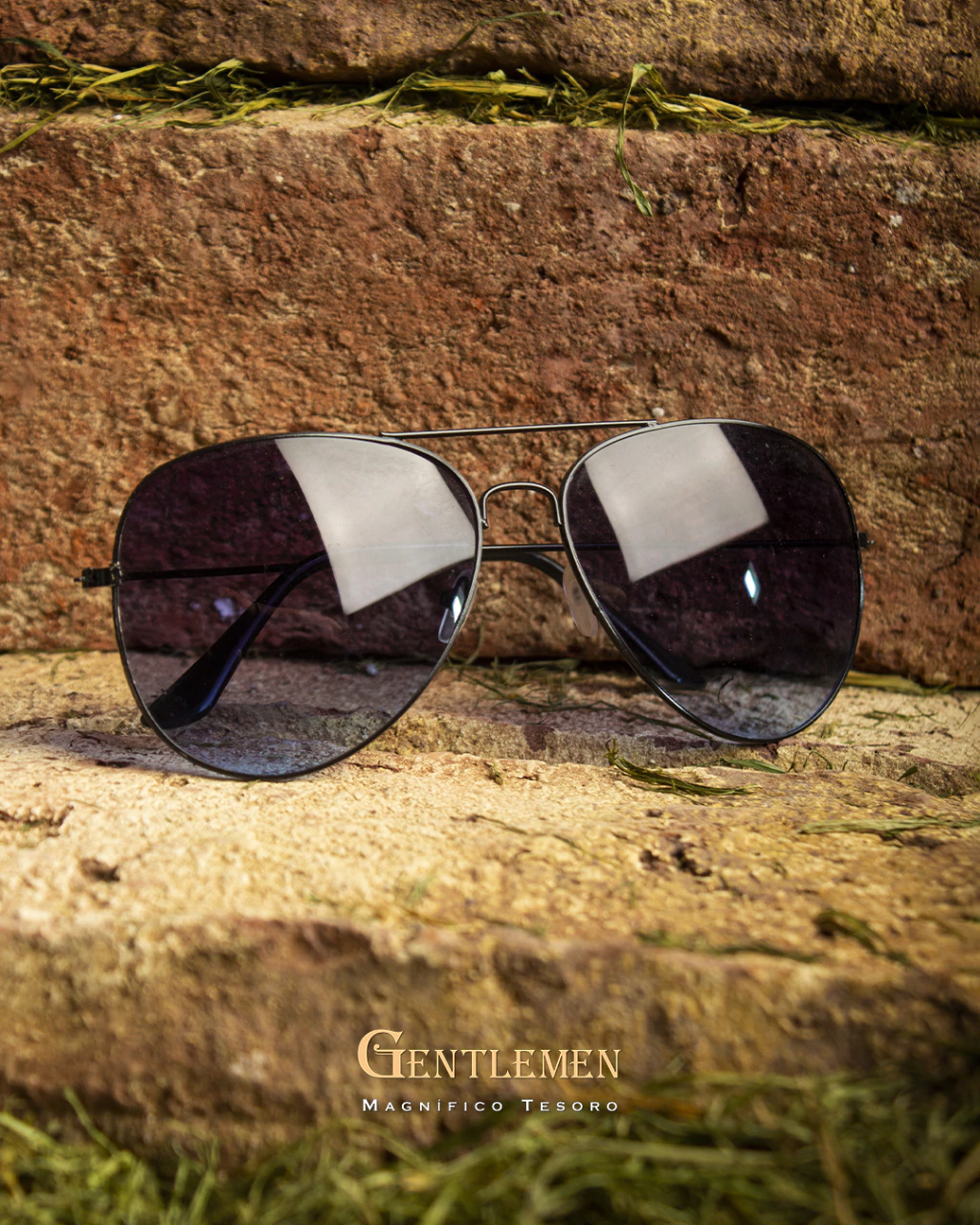 Lentes Elvis