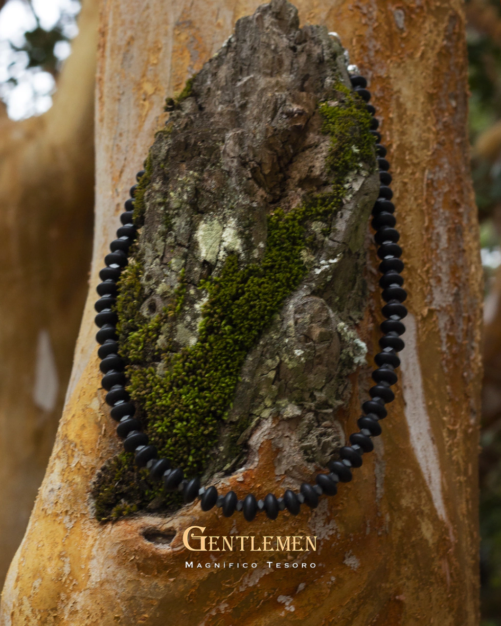 Collar Magnetic Onix