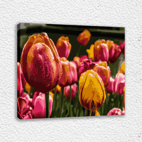 Jardin de Tulipanes - Kit para pintar por números!
