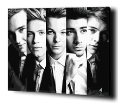 One Direction - Pinta por números!