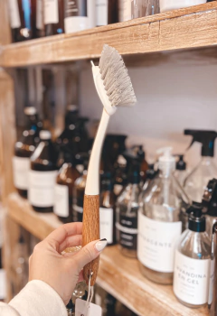 CEPILLO DE MANO PARA SANITARIO en internet