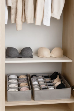 SET ORDEN DE PLACARD 4 CESTOS CON DIVISIONES GRIS