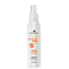 PROTECTOR 40 SPRAY S/COLOR
