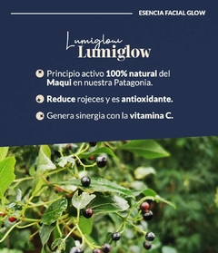 ESENCIA GLOW X 125 en internet