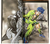 JOJO A GOGO! Art Book Hirohiko Araki JoJo's Bizarre Adventure Illustration - tienda online