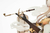Genshin Impact Ningguang Gold Leaf and Pearly Jade Ver. 1/7 Complete Figure - Valky Anime Store