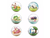 Pokemon Terrarium Collection -Everyday is a Happy Day- - comprar online