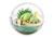 Pokemon Terrarium Collection -Everyday is a Happy Day- - tienda online
